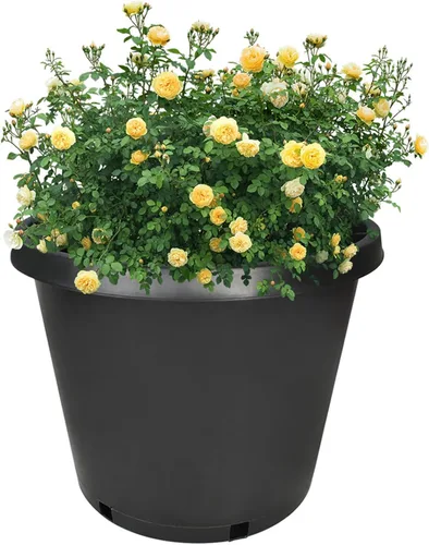 Vista 2 de Paquete de 5 macetas redondas de 15 galones de alta calidad para plantas de jardín para plantas de interior y exterior, plántulas, flores, verduras