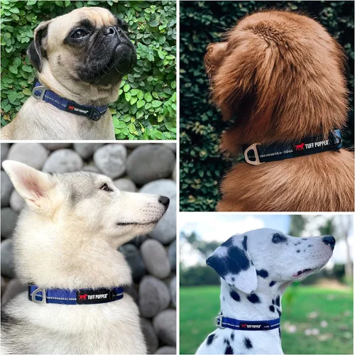Vista 3 de Tuff Pupper Collar de perro reflectante resistente con clip de correa de aluminio con anillo en D Accesorio de etiqueta de identificación de perro