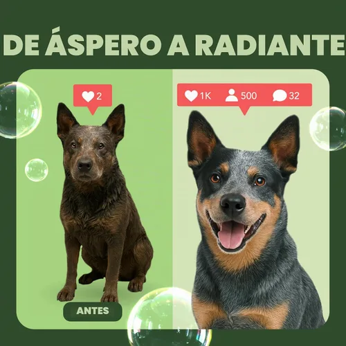 Vista 6 de TropiClean Champú desodorante para perros malolientes, potente control de olores, seguro para cachorros, fabricado en los Estados Unidos, aroma