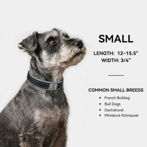 Vista 5 de Joytale Collar para perros pequeños, de neopreno acolchado y ajustable, collares para mascotas reflectantes, anchos y resistentes, con hebilla