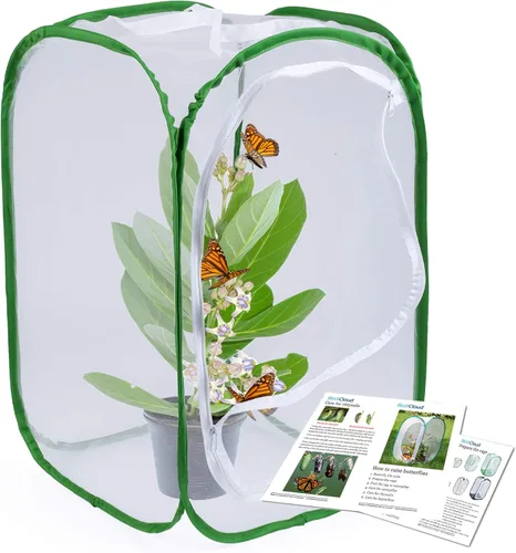 Vista 8 de Butterfly Habitat - Jaula para insectos de malla completa, pequeña, 12 x 12 x 12 pulgadas