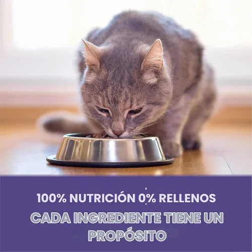 Vista 7 de Purina ONE Alimento natural para gatos para control de bolas de pelo, fórmula +PLUS Hairball - Bolsa de 3.5 libras Fórmula de pollo real de alta