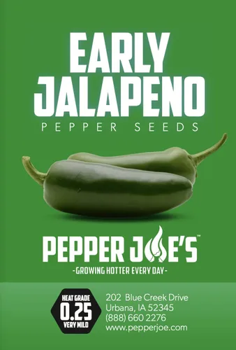 Vista 2 de Pepper Joe's Semillas de pimiento jalapeño temprano – Paquete de 10 semillas de jalapeño de maduración rápida – Cultivadas en Estados Unidos