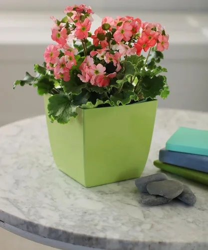Vista 3 de The HC Companies Aria Maceta cuadrada de riego automático con drenaje, macetas para plantas de exterior y plantas de interior, macetas de plástico