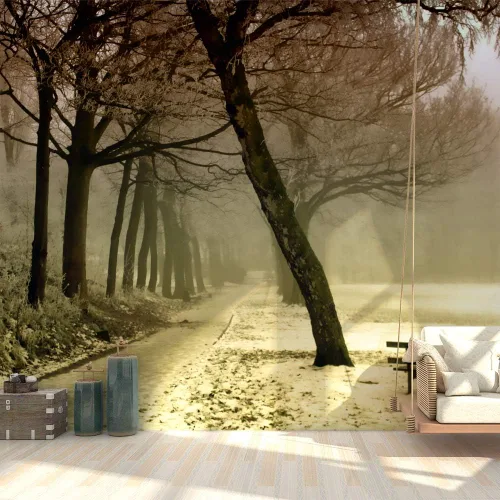 Vista 25 de Papel tapiz Signford para pared, desprendible, diseño de bosque, para dormitorio y sala de estar