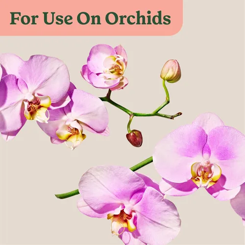 Vista 9 de Miracle-Gro - Rocío de alimentos para plantas de interior para orquídeas, 8 onzas líquidas (paquete de 2) Alimento vegetal de orquídeas Niebla
