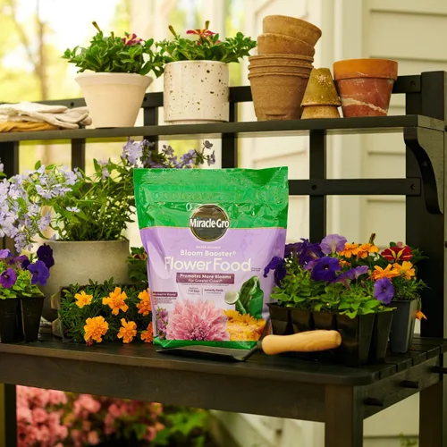 Vista 6 de Miracle-Gro - Alimento de flores soluble en agua, 5.5 libras.