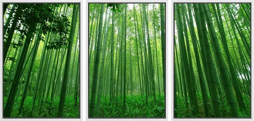 Vista 161 de wall26 Lienzo enmarcado para pared, juego de arte debajo de los tallos de bambú verde, naturaleza, desierto, fotografía, realismo, contemporáneo