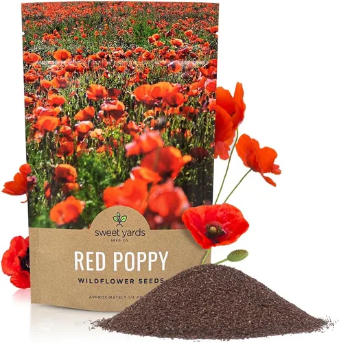 Vista 10 de Semillas de amapola roja - Paquete grande de 1 onza - Más de 200,000 semillas de flores