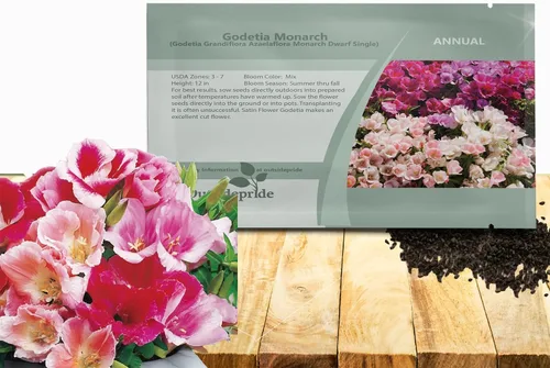 Vista 8 de Outsidepride 5000 semillas anuales Godetia Orange Glory Flower Seeds para plantar