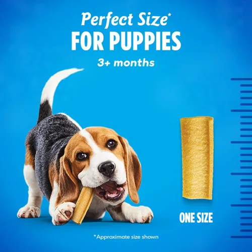 Vista 4 de Dentalife Masticables de dentición para cachorros para perros pequeños de 3 meses en adelante, sabor a pollo, 17.3 onzas, 19 masticables – bolsa