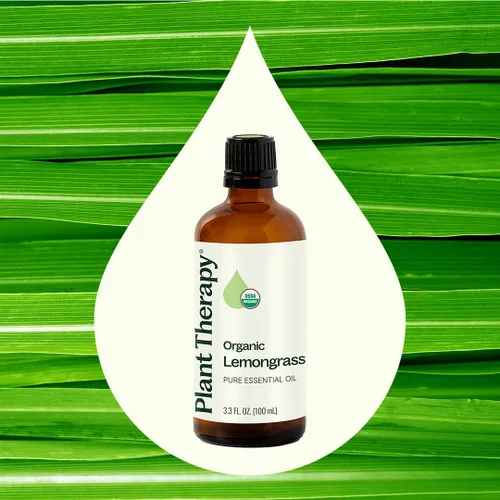 Vista 3 de Plant Therapy Aceite esencial de citronela orgánica 3.4 fl oz (3.3 oz), 100% puro, certificado por USDA, sin diluir, aromaterapia, desodorizante