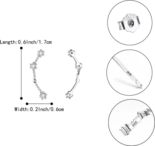 Vista 4 de BriLove Aretes de plata de ley 925 con circonita cúbica, horóscopo del zodiaco, 12 constelaciones, astrología, oreja, regalo para mamá, mujer, día