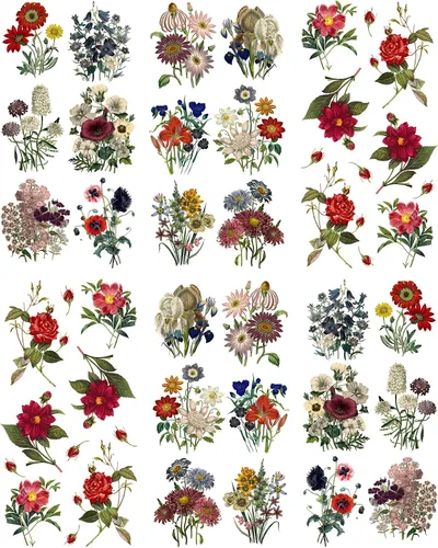 Vista 3 de Pegatinas para uñas (5 hojas) FLONZNAIL Flores de prado salvaje Vintage Botanic Book Illustration