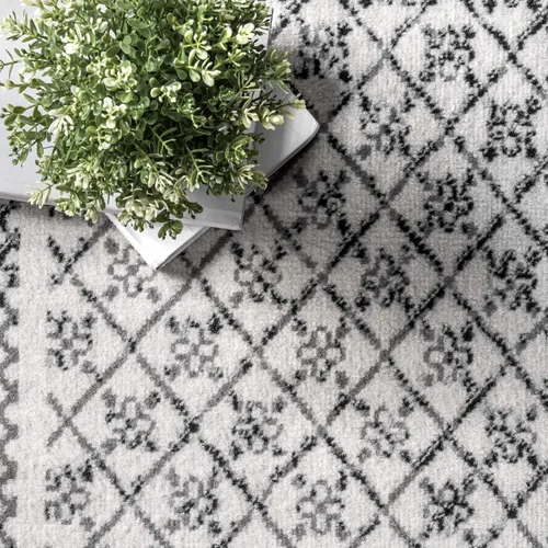 Vista 5 de nuLOOM Arabella Alfombra contemporánea con bordes, 4 x 6 pies, gris claro
