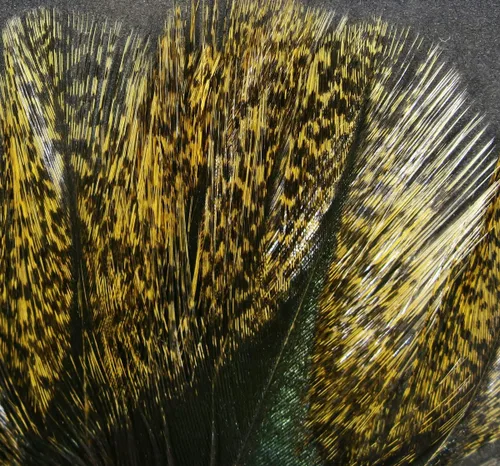 Vista 7 de Hareline Fly Tying Coq De Leon Feathers for Dry Fly Tails, Nymphs, and Euro Patterns Barrado moteado Aconchado