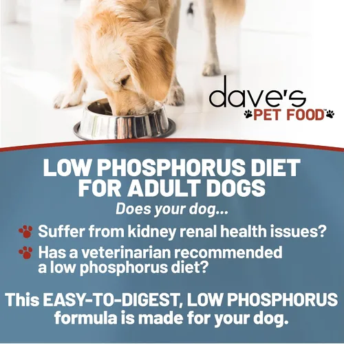 Vista 4 de Dave's Pet Food Soporte renal para perros con soporte renal (crumble de pollo y paté de atún), alimento renal húmedo para perros, bajo fósforo sin