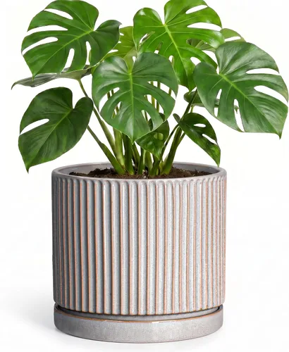 Vista 23 de 8 Inch Flower Pot, Ceramic Planters, Round Plant Pot, Beige