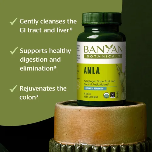 Vista 2 de Banyan Botanicals Tabletas orgánicas de Amla – Vitamina C natural para apoyo de colágeno y salud inmunológica – Grosella espinosa india Amalaki