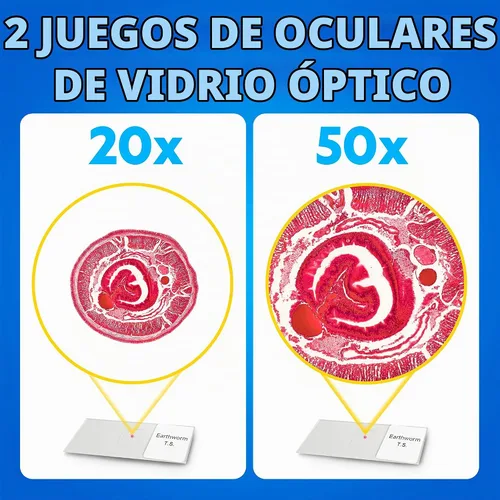 Vista 4 de Microscopio de laboratorio de National Geographic con más de 50 accesorios Dual LED Illumination, 10 Prepared Slides, 10 Blank Slides, 50+ Pieces