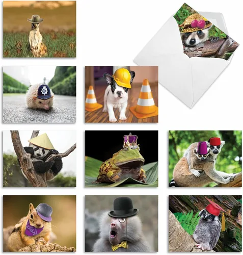 Vista 13 de The Best Card Company - Tarjetas de animales en blanco en caja, 4 x 5.12 pulgadas, mascotas surtidas, zoológico, tarjetas de vida silvestre