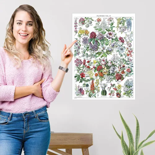 Vista 6 de Paquete de 4 pósteres vintage de flores y hongos - Cuadros de referencia de identificación botánica floral y micología y hongos Volumen 1 y 2