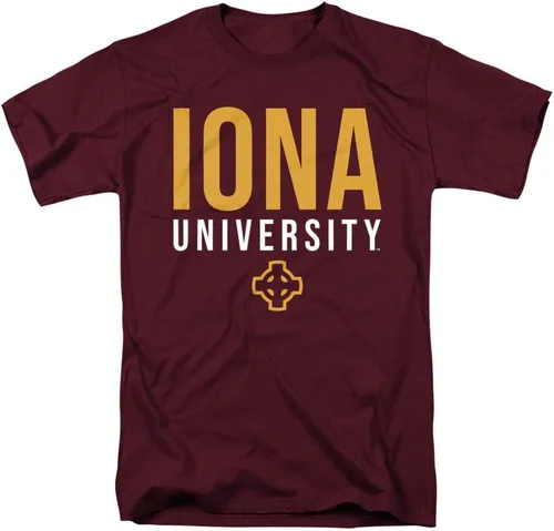 Vista 158 de Colección de camisetas para adultos apiladas colegiales 1 Universidad Estatal de Albany