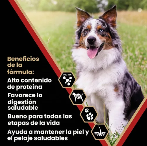 Vista 2 de VICTOR Purpose Nutra Pro - Alimento seco para perros, alto contenido