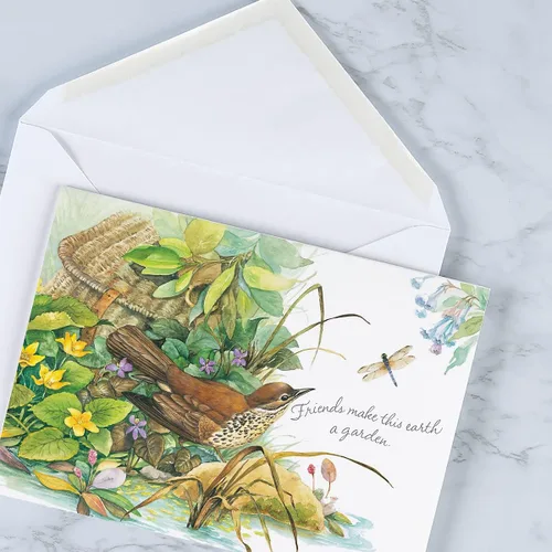 Vista 9 de Current Nature's Serenade Religious Thinking of You - Juego de tarjetas de felicitación de amistad, paquete económico de 20 tarjetas con sobres