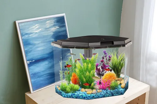 Vista 7 de KollerCraft, juego para acuario de 6.5 galones con filtro interior e iluminación LED
