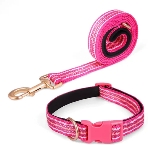 Vista 6 de Juego de collar y correa reflectante para perro, correa de nailon para perro con anillo en D de acero resistente, ajustable con hebilla de Cian