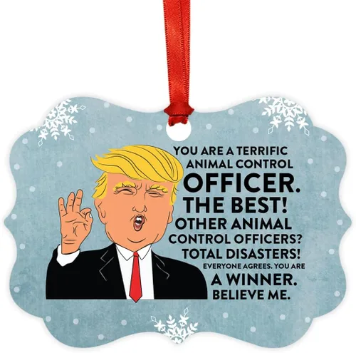 Vista 89 de Andaz Press Presidente Donald Trump Fancy Frame Recuerdo Adorno de Navidad Regalo de broma Ejecutivo de Cuenta, 1 paquete, Divertidas Ideas