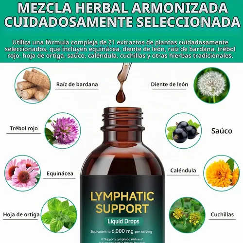 Vista 4 de FANSHI Gotas de drenaje linfático – Fórmula botánica avanzada con 21 hierbas y suministro liposomal – Apoya la salud inmunológica – Máxima absorción