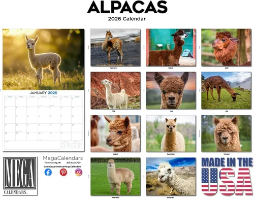 Vista 513 de Calendario de grises africanos 2025 2026 – Planificador mensual de pared de aves africanas – 12 x 18 pulgadas (abierto), calendario de pared