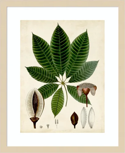 Vista 15 de Amanti Art Vision Studio - Lienzo decorativo para pared, 24 x 20 pulgadas, follaje verde VII por Vision Studio, arte de pared de naturaleza