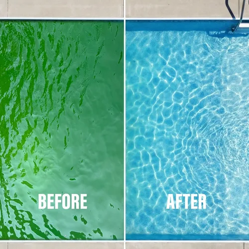 Vista 10 de Poolife Super AlgaeBomb 60 Algaecida de 1 cuarto de galón - Potente tratamiento de control de algas de piscina - Fórmula no espumante de acción