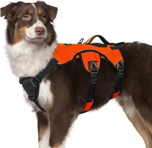 Vista 38 de rabbitgoo - Arnés para perros a prueba de fugas, arnés para mascotas acolchado y suave de cuerpo completo, arnés reflectante ajustable sin tirones