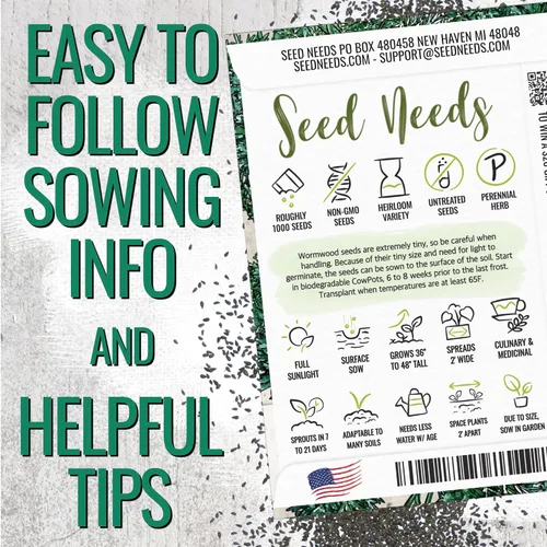 Vista 4 de Seed Needs Semillas de ajenjo para plantar hierbas tradicionales sin OMG, 1 paquete
