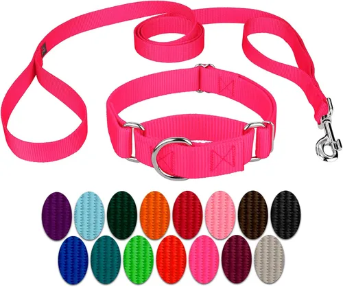 Vista 19 de Country Brook Design - Collar de perro de nailon Martingale y correa de doble asa-Negro-S