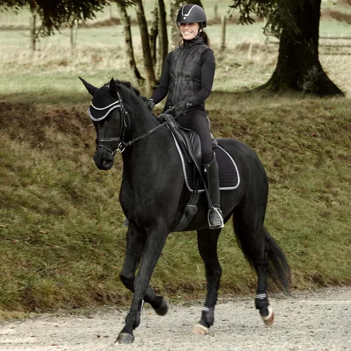 Vista 4 de HORZE Botas Adepto Fetlock - Negro - Caballo
