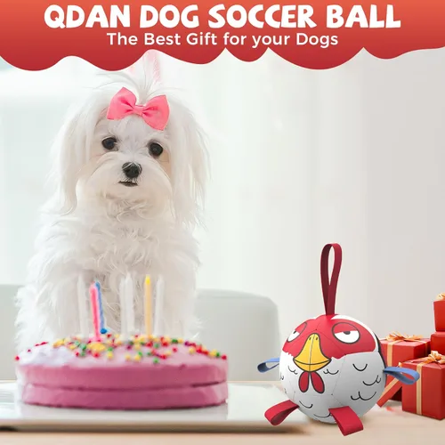 Vista 2 de QDAN Pelotas de juguete para perros: Pelota de fútbol para entrenamiento de mascotas con correas - Pelota para cachorros, extra pequeña, pelotas