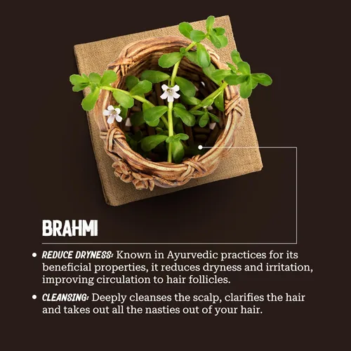Vista 5 de Brahmi - Exfoliante y limpiador para el cuero cabelludo para hombres y mujeres, exfoliación profunda y limpieza, perfecto para el cuidado