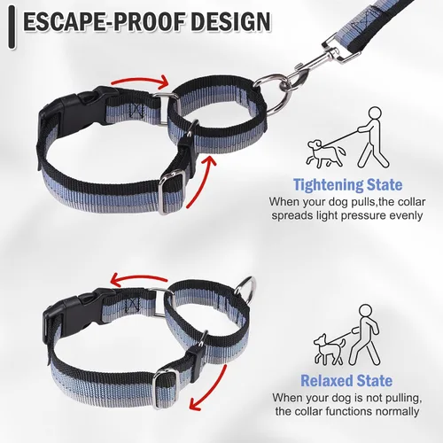 Vista 2 de Martingale - Juego de collar y correa para perro, para caminar, jugar, entrenar, collares reflectantes ajustables con correa para perros pequeños