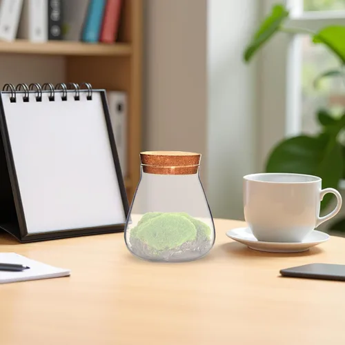 Vista 8 de DOITOOL Tarro de cristal para caramelos, recipiente de almacenamiento de vidrio con tapa de madera, tarro de galletas de caramelo transparente
