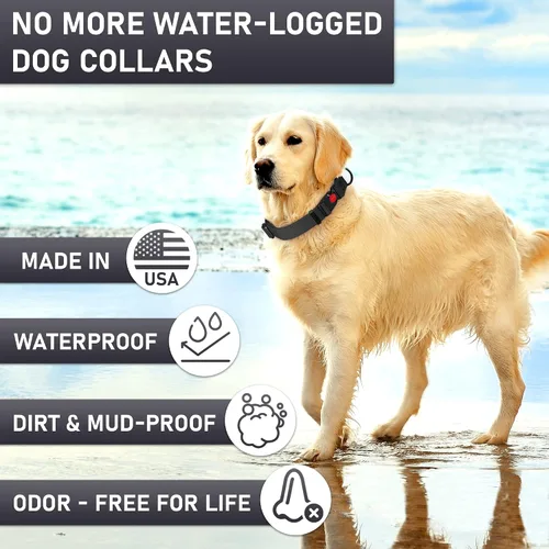 Vista 2 de Collar de perro ajustable con código QR identificación adjunta, fabricado en Estados Unidos, collar de perro resistente al agua con hebilla