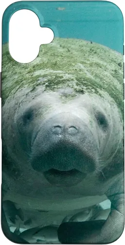 Vista 23 de Manatee Case for iPhone 17