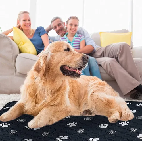 Vista 4 de EZwhelp Almohadillas reutilizables para orina de perro, lavables e impermeables para entrenamiento de orinal o almohadillas de parto, 24 x 48