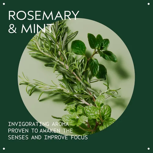 Vista 4 de Aveda Rosemary Mint Purifying Shampoo Clarifying Shampoo Gently Removes Buildup, Adds Shine For Normal to Oily Hair, Fine to Medium Hair Types