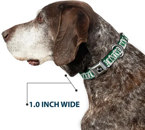 Vista 6 de Buckle-Down Collar de perro con hebilla para cinturón de seguridad, placa de matrícula de Colorado, 1 pulgada de ancho, se adapta a cuello de 15 a