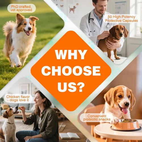 Vista 7 de Probióticos para perros, probióticos masticables y picor intestinal digestivo, probióticos para la piel, alivio de la picazón, diarrea, 50 tabletas